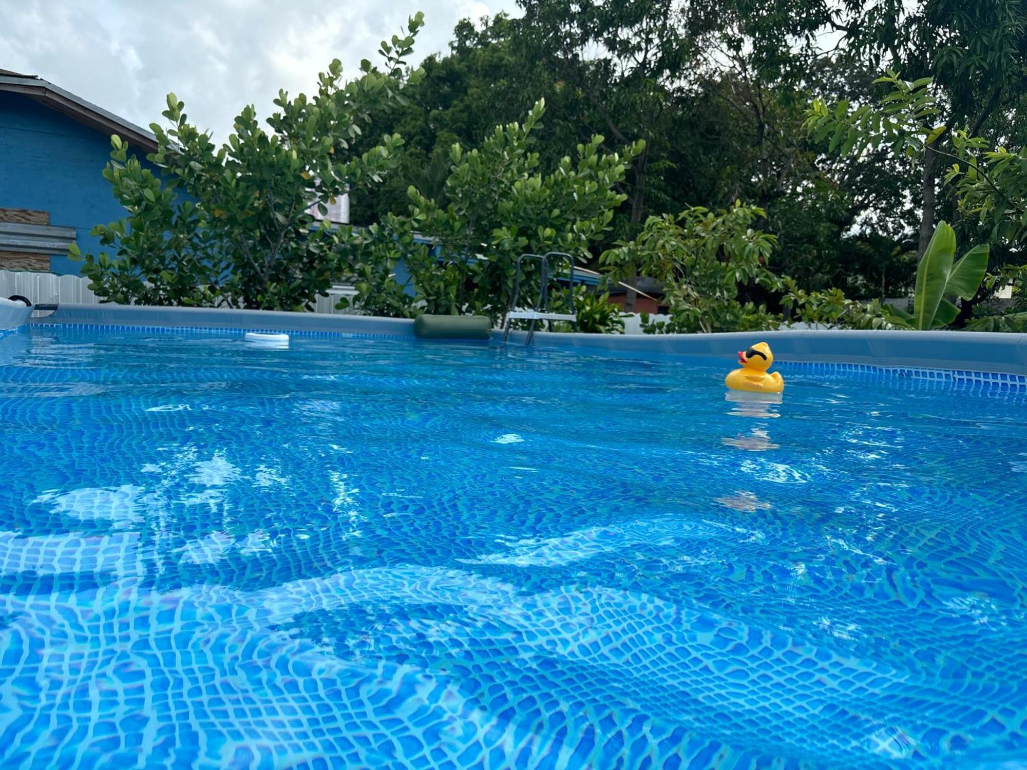 Mini House Oasis Hotel Miami Springs Exterior photo